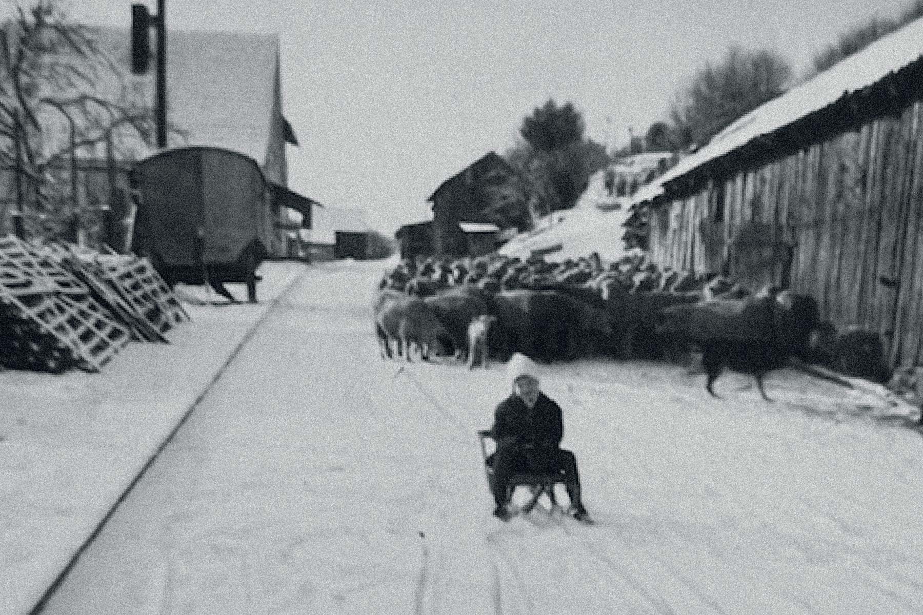 Otto Desch auf seinem Schlitten vor dem Schafstall (Quelle: Otto Desch, Mernes).