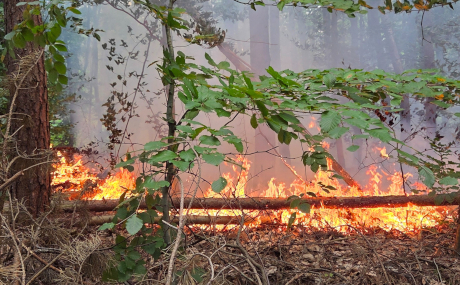 Unser Bild zeigt einen Feuerwehreinsatz beim Ablöschen einer in Brand geratenen Fläche in Maintal.  QUELLE Fotos Feuerwehr Maintal