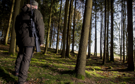 Im Gutsbezirk Spessart beginnt die Jagdsaison.